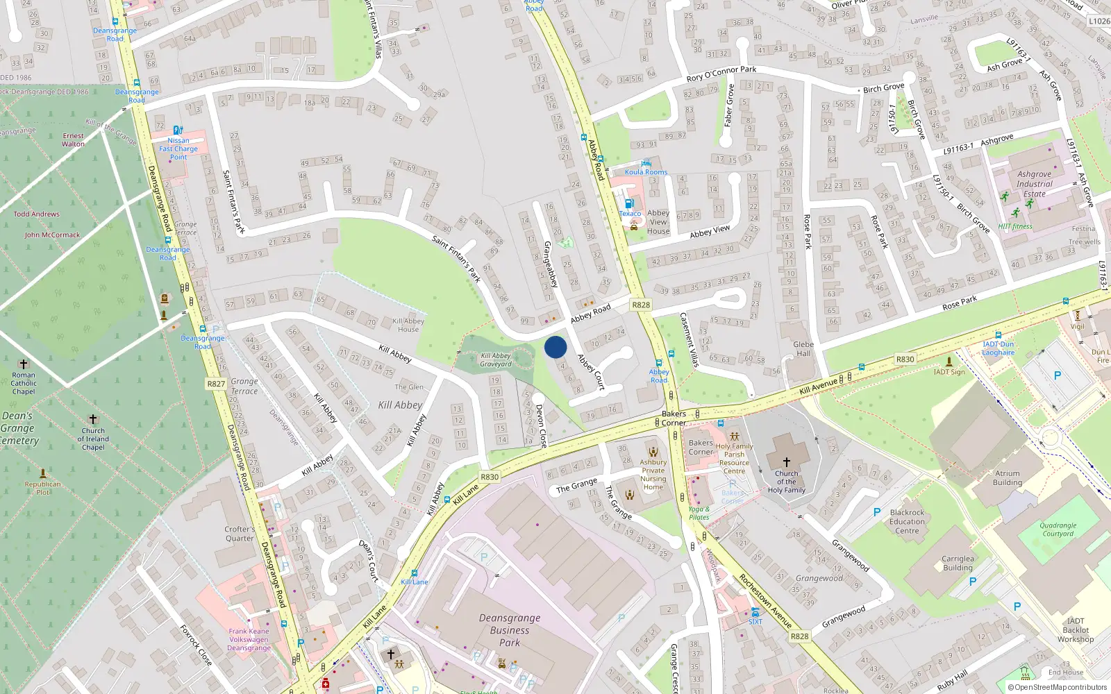 Overhead map showing the location of 1 Abbey Court, Abbey Road, Monkstown
