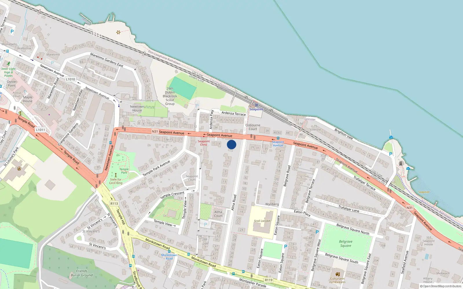 Overhead map showing the location of 1 Alma Road, Dublin