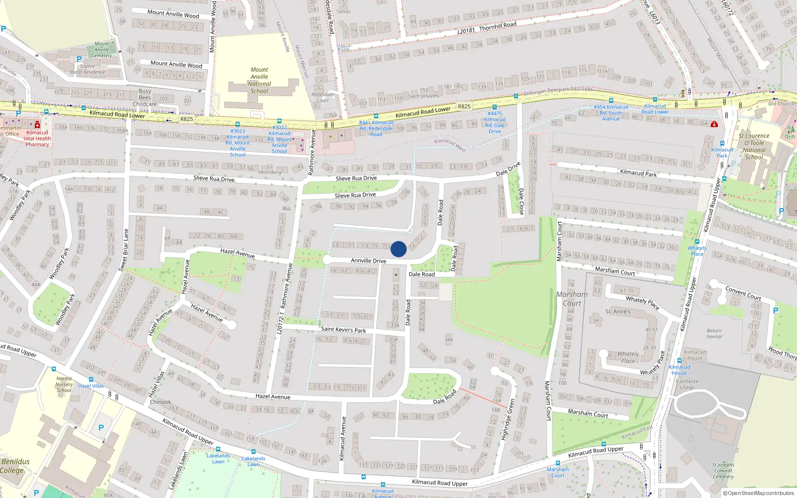 Overhead map showing the location of 1 Annville Drive, Kilmacud, Blackrock