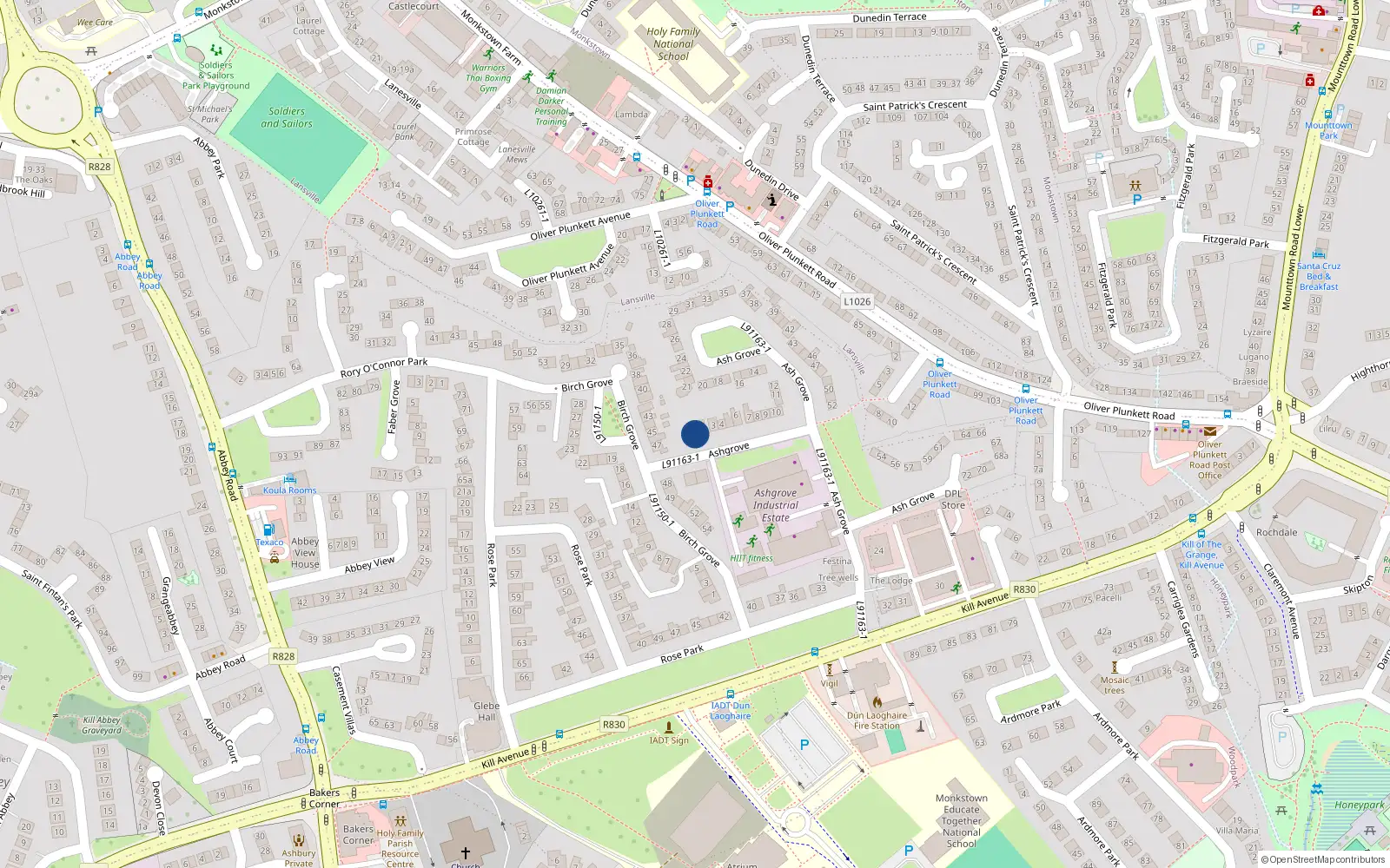 Overhead map showing the location of 1 Ash Grove, Kill Avenue, Dun Laoghaire