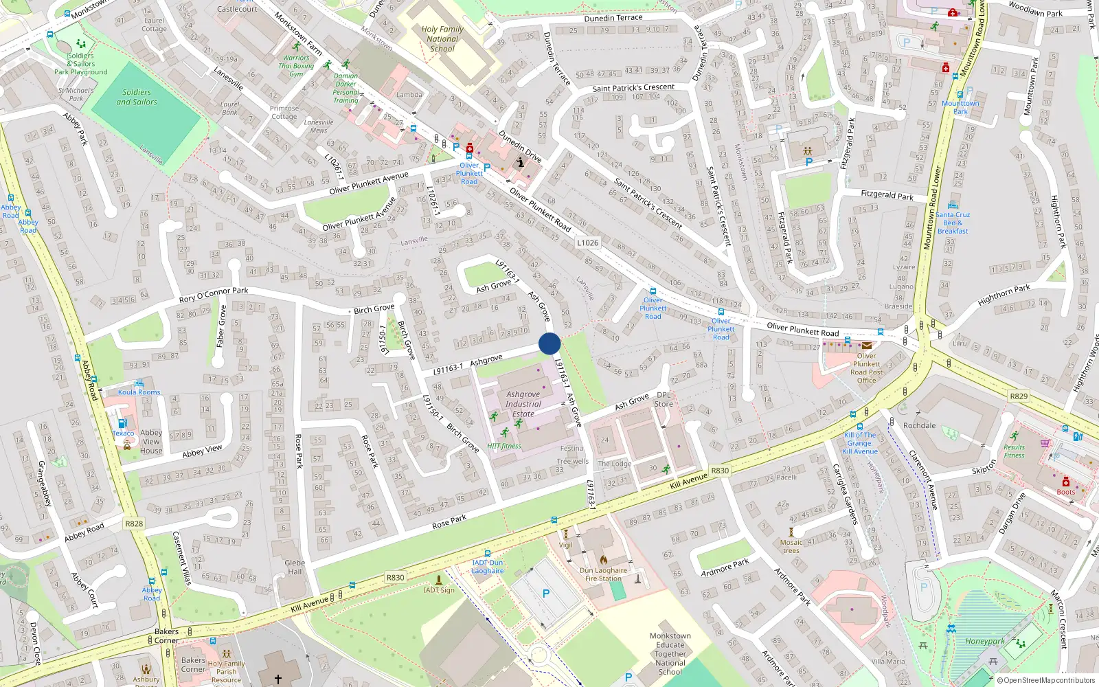 Overhead map showing the location of 1 Ashgrove, Dun Laoighre