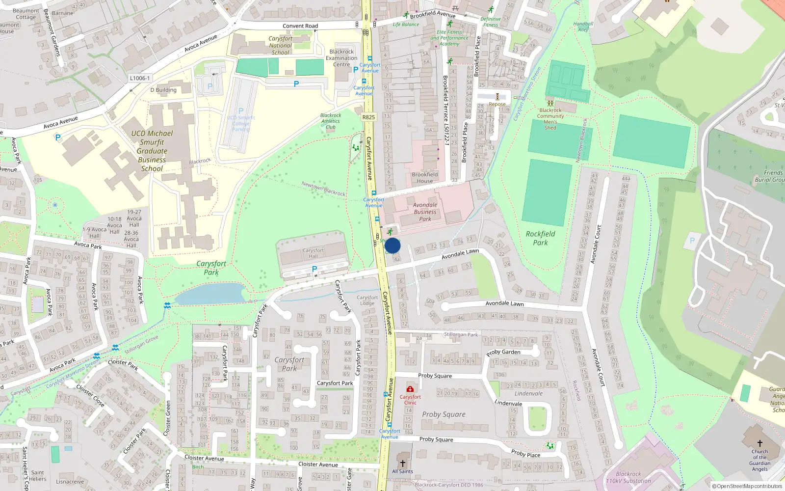 Overhead map showing the location of 1 Avondale Lawn, Blackrock