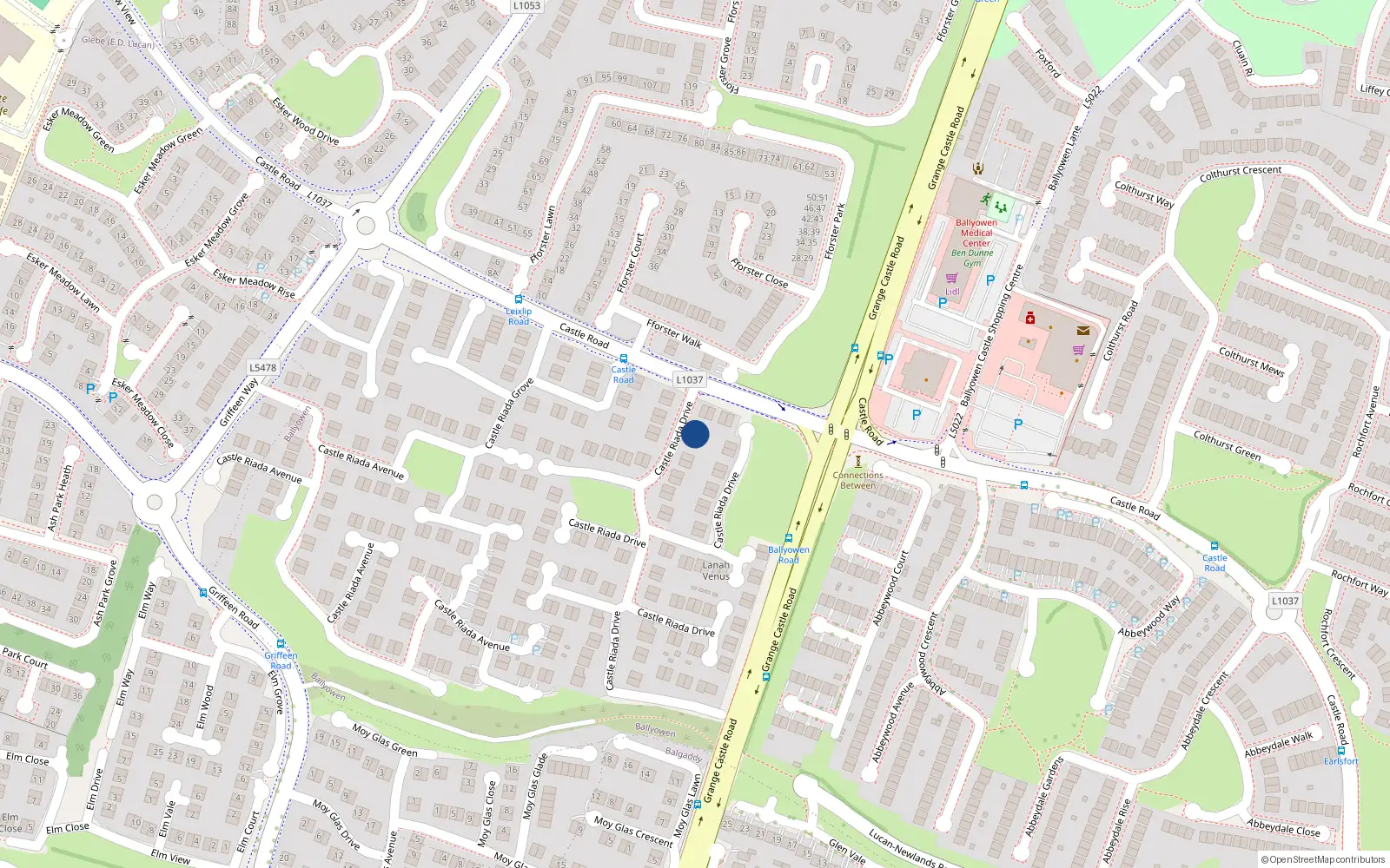 Overhead map showing the location of 1 Castle Riada Drive, Lucan