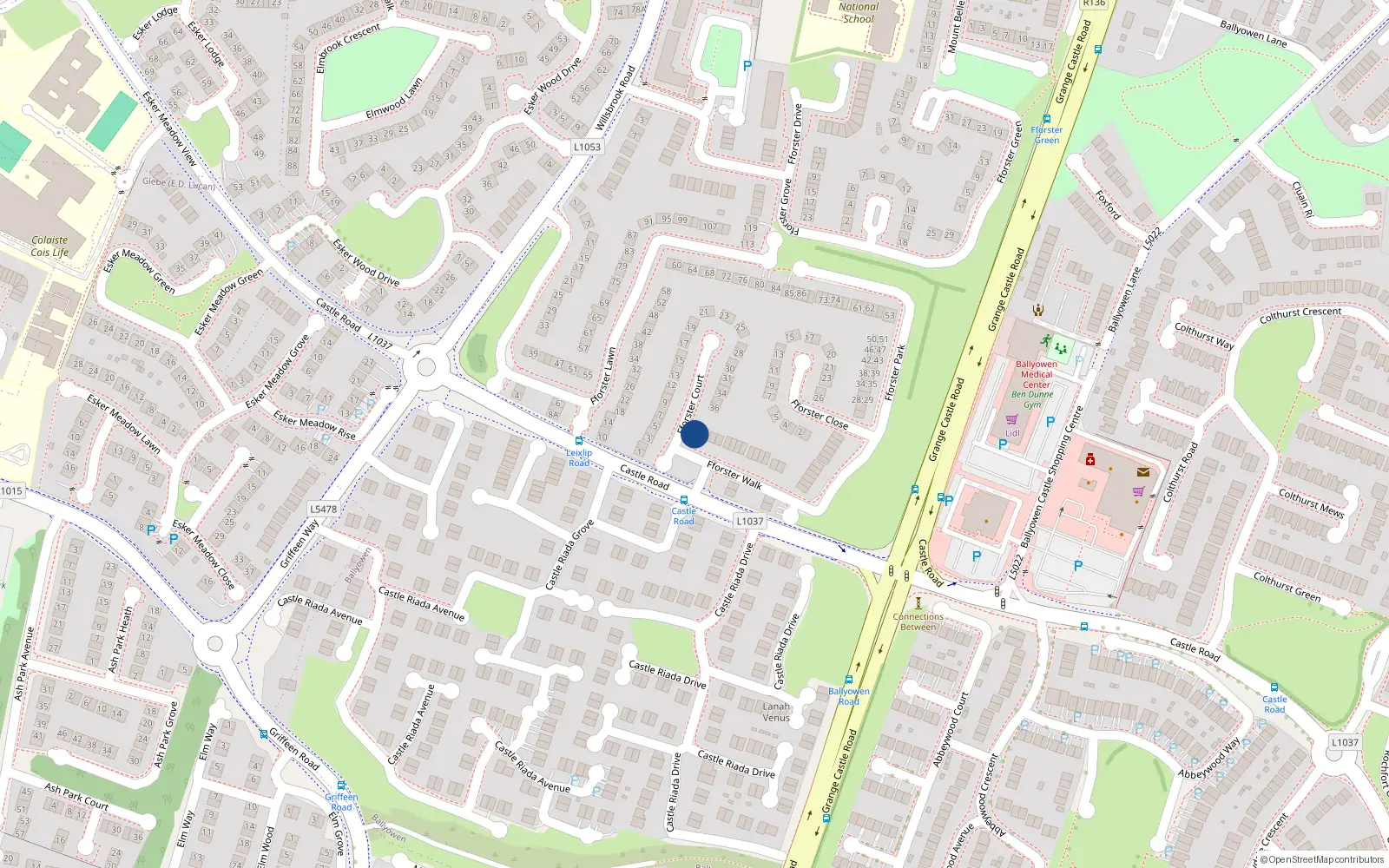 Overhead map showing the location of 1 Forster Walk, Ballydowd Manor, Lucan