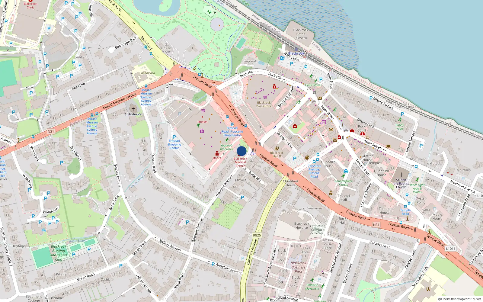 Overhead map showing the location of 1 Frascati Park, Blackrock, Dublin