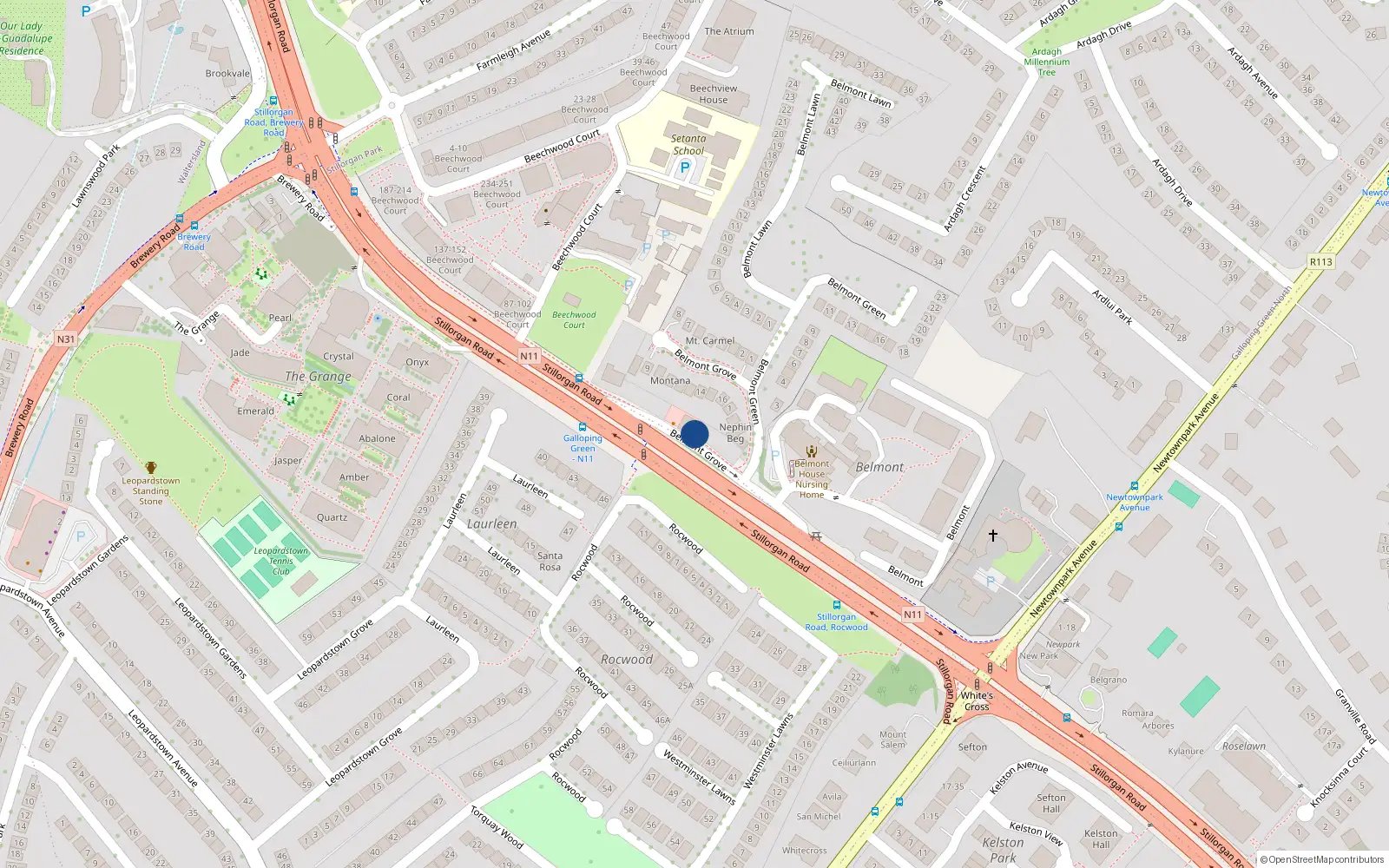 Overhead map showing the location of 1 Galloping Green Upper, Stillorgan Road, Blackrock