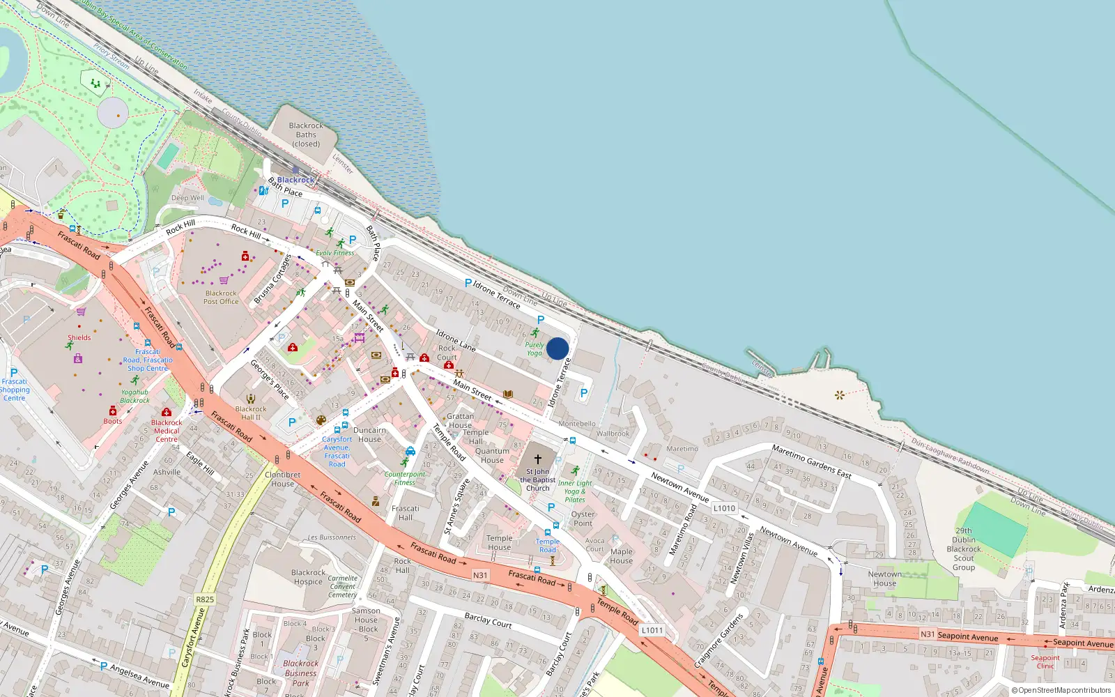 Overhead map showing the location of 1 Idrone Terrace, Blackrock