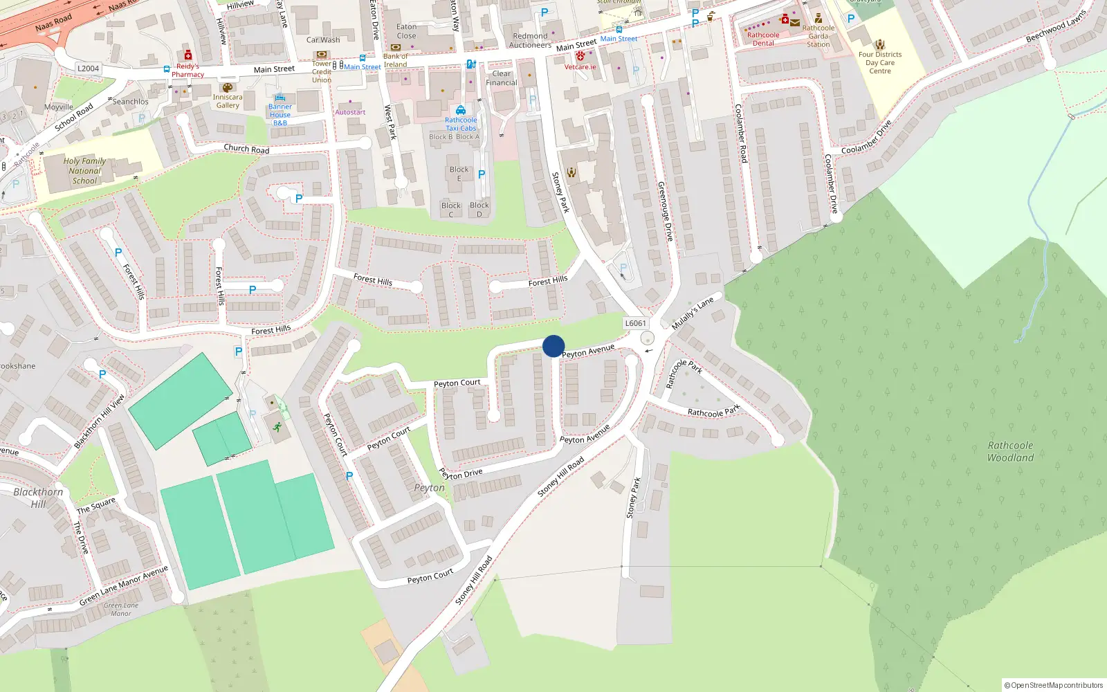 Overhead map showing the location of 1 Peyton Avenue, Rathcoole
