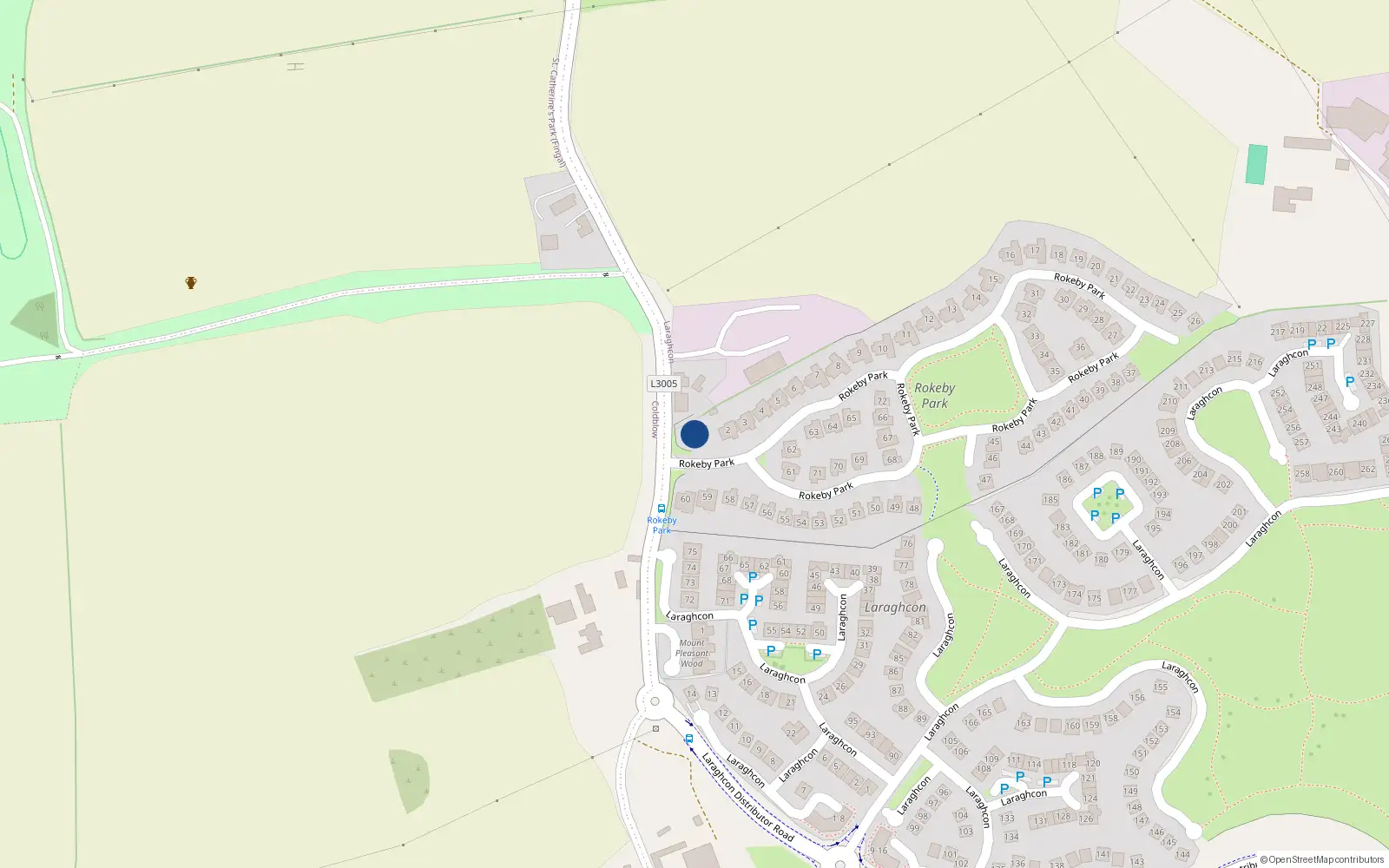 Overhead map showing the location of 1 Rokeby Park, Lucan