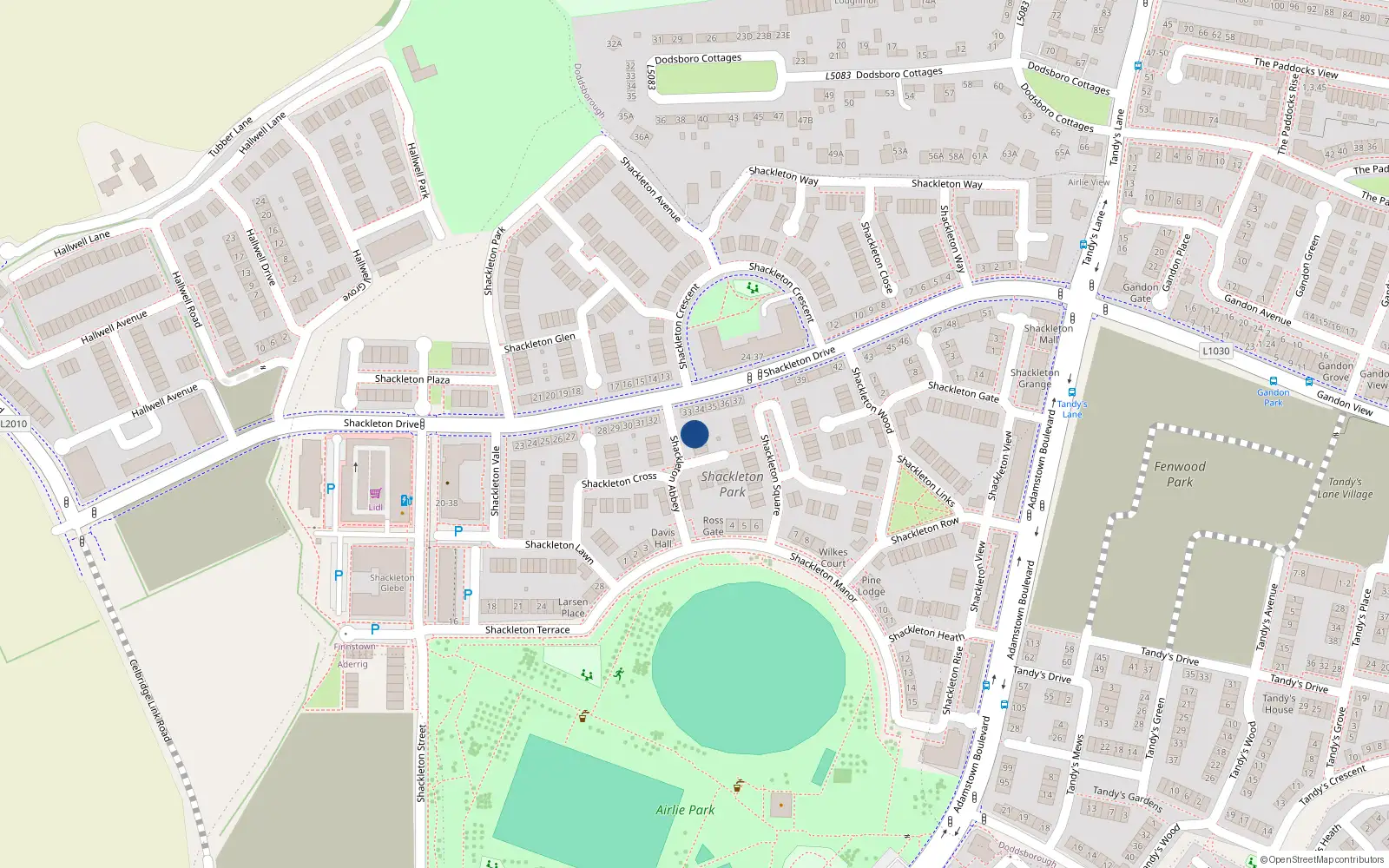 Overhead map showing the location of 1 Shackleton Abbey, Lucan