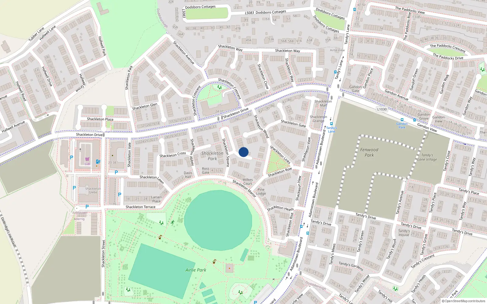 Overhead map showing the location of 1 Shackleton Glade, Lucan