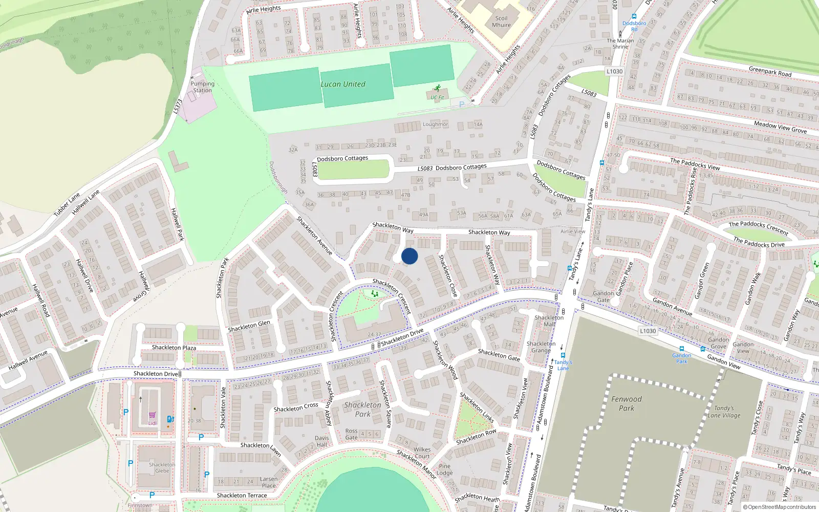 Overhead map showing the location of 1 Shackleton Green, Lucan