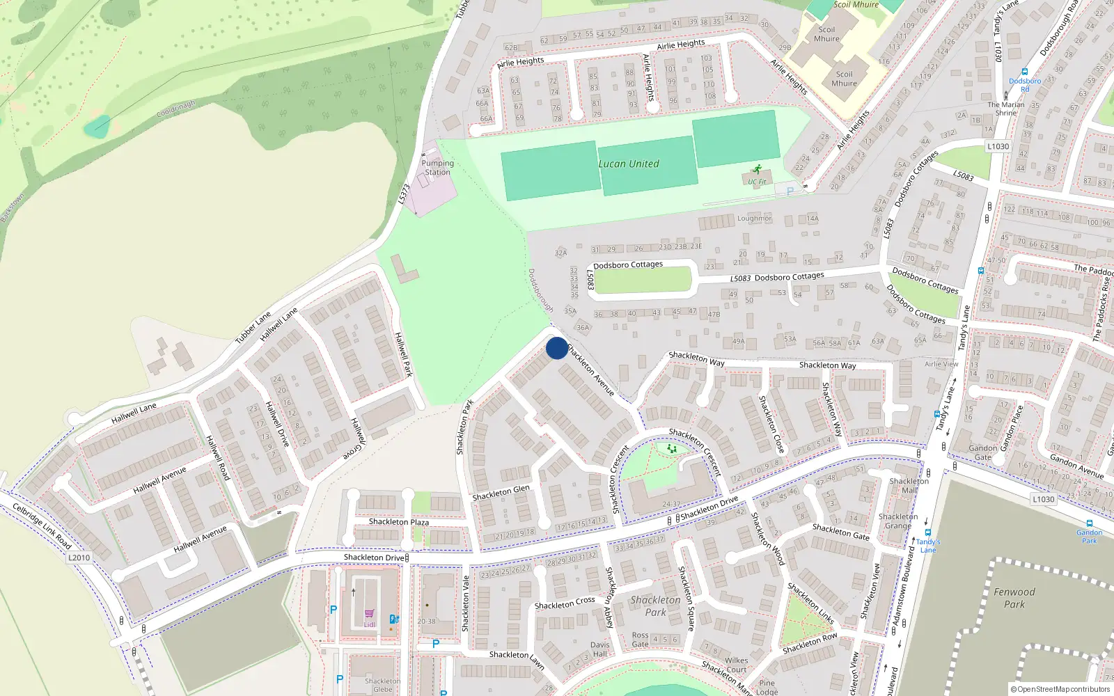 Overhead map showing the location of 1 Shackleton Park, Lucan
