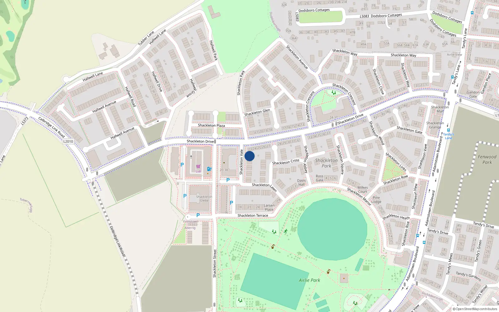Overhead map showing the location of 1 Shackleton Vale, Lucan