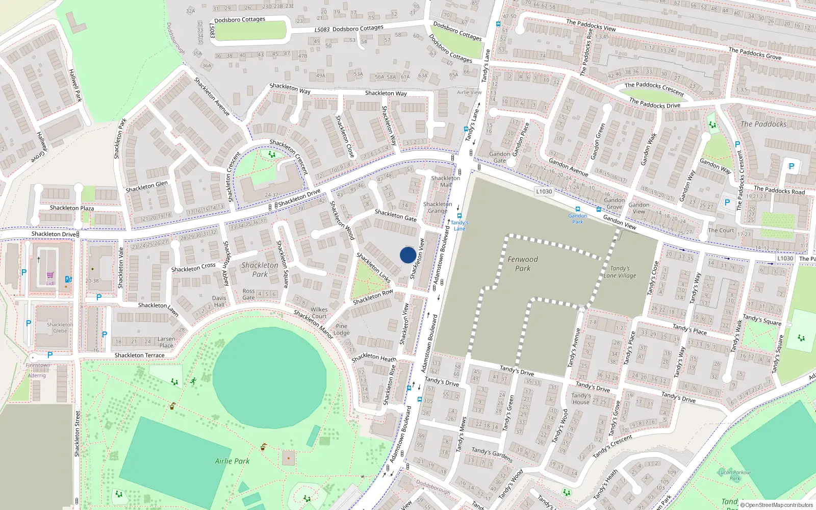 Overhead map showing the location of 1 Shackleton View, Lucan
