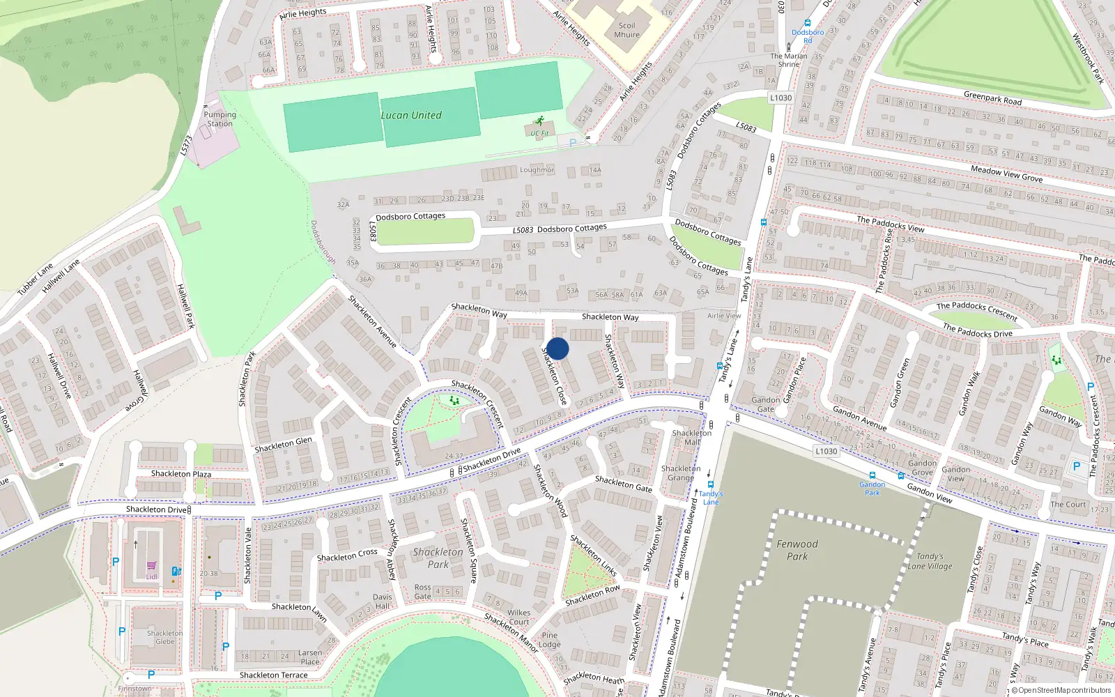 Overhead map showing the location of 1 Shakleton Close, Tandys Lane, Lucan