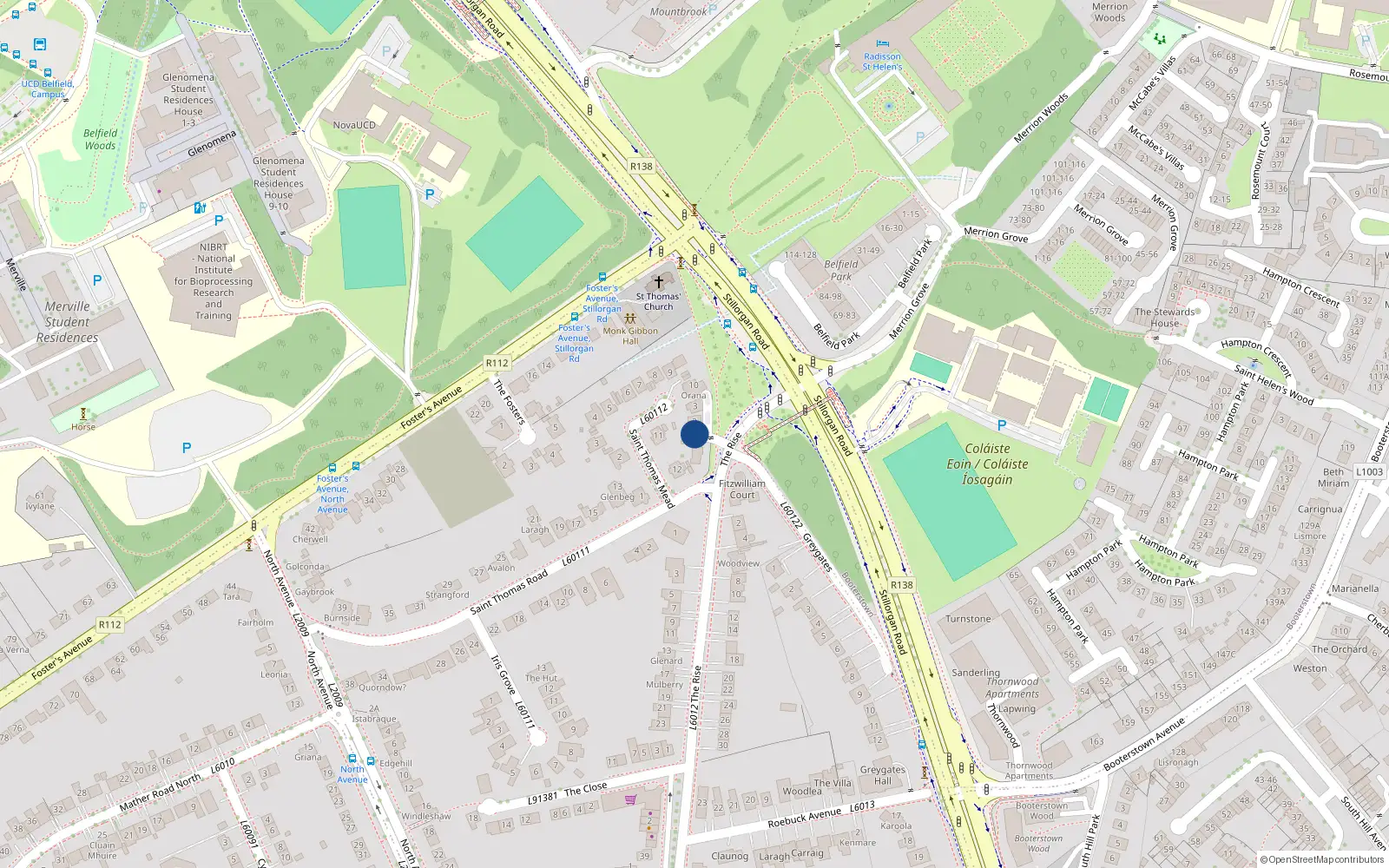 Overhead map showing the location of 1 St. Thomas Wood, The Rise, Mount Merrion