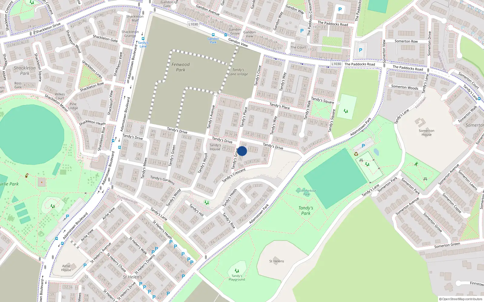 Overhead map showing the location of 1 Tandy's Grove, Lucan