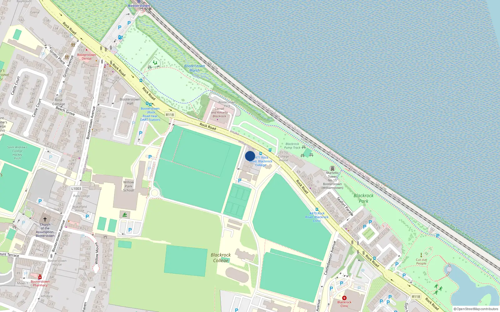 Overhead map showing the location of 1 Willow Terrace, Blackrock