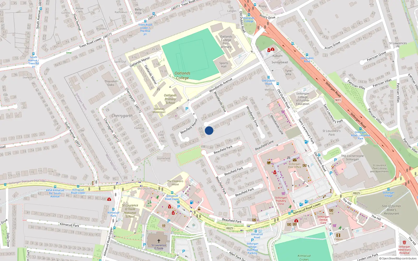 Overhead map showing the location of 1 Woodlands Drive, Dublin