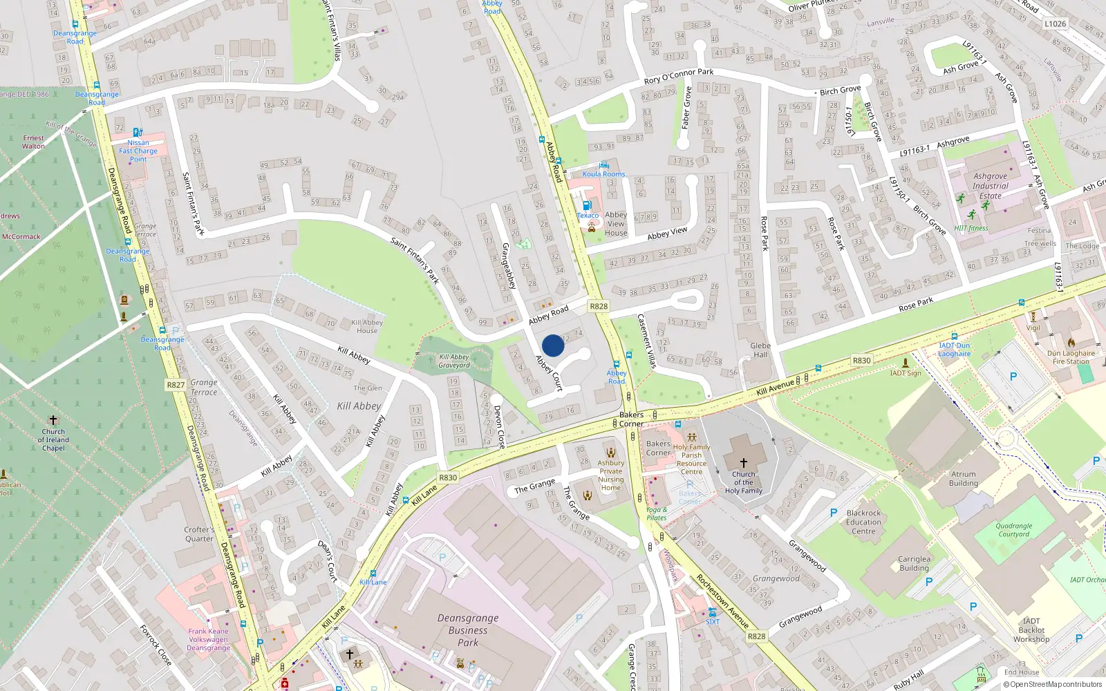 Overhead map showing the location of 10 Abbey Court, Abbey Road, Monkstown