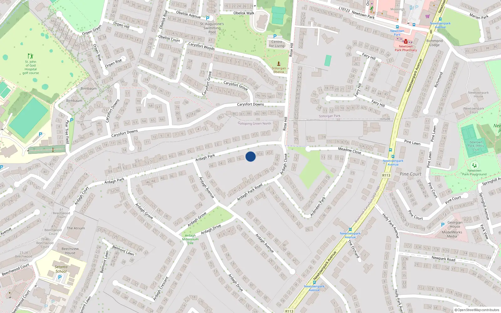 Overhead map showing the location of 10 Ardagh Park, Blackrock, Dublin