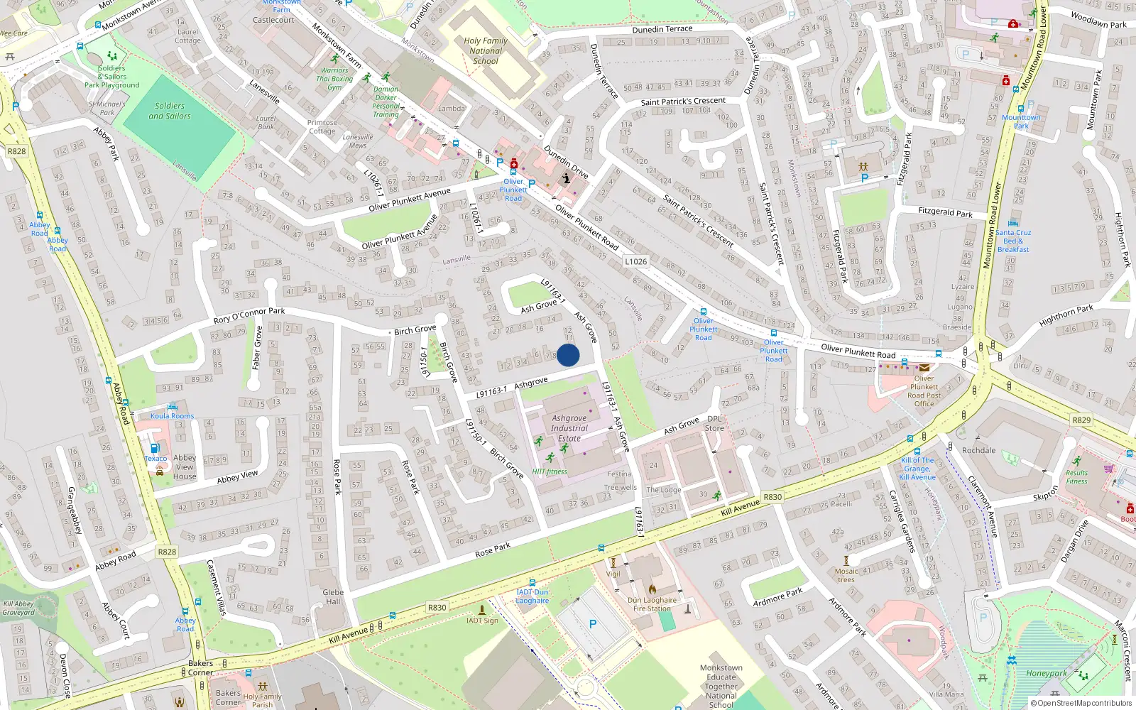 Overhead map showing the location of 10 Ashgrove, Dun Laoghaire
