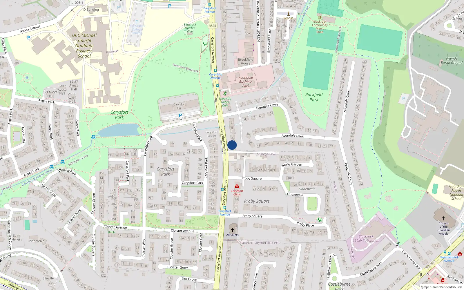 Overhead map showing the location of 10 Avondale Park, Carysfort Avenue, Blackrock
