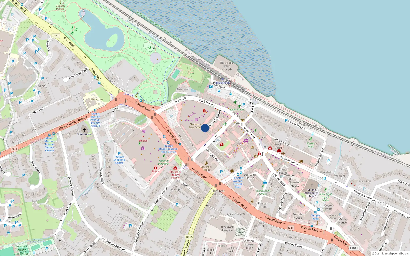 Overhead map showing the location of 10 Brusna Cottages, Blackrock