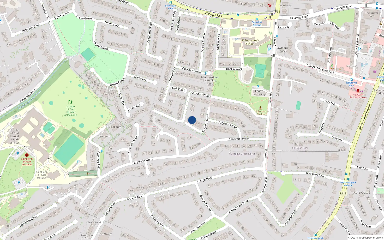 Overhead map showing the location of 10 Carysford Grove, Blackrock