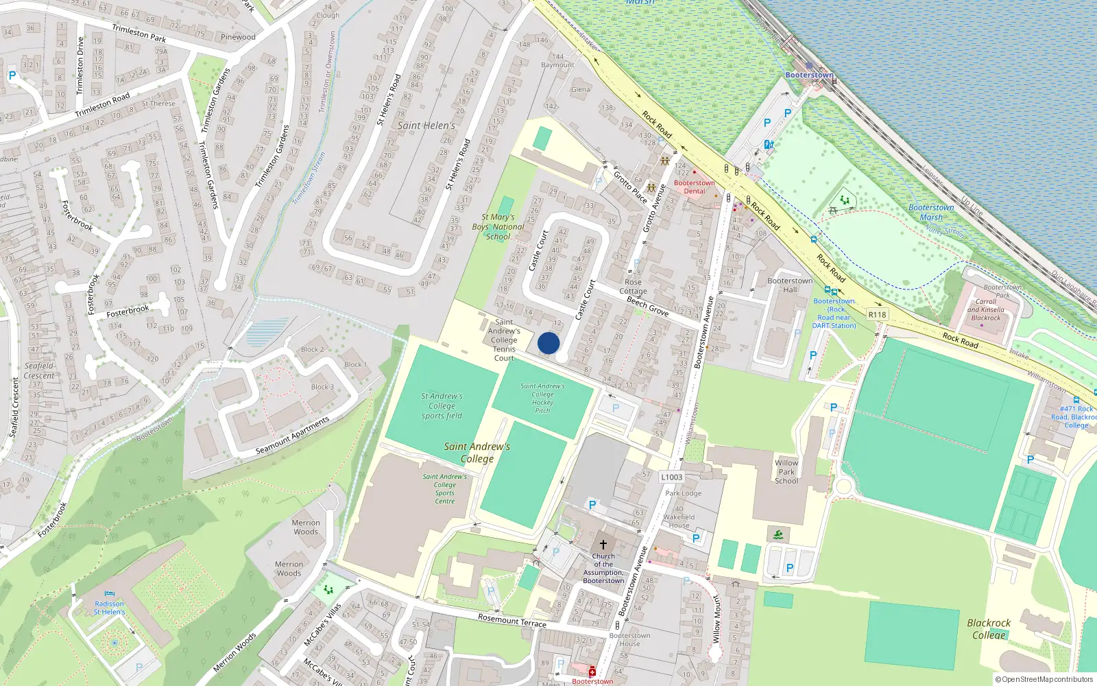 Overhead map showing the location of 10 Castle Court, Blackrock