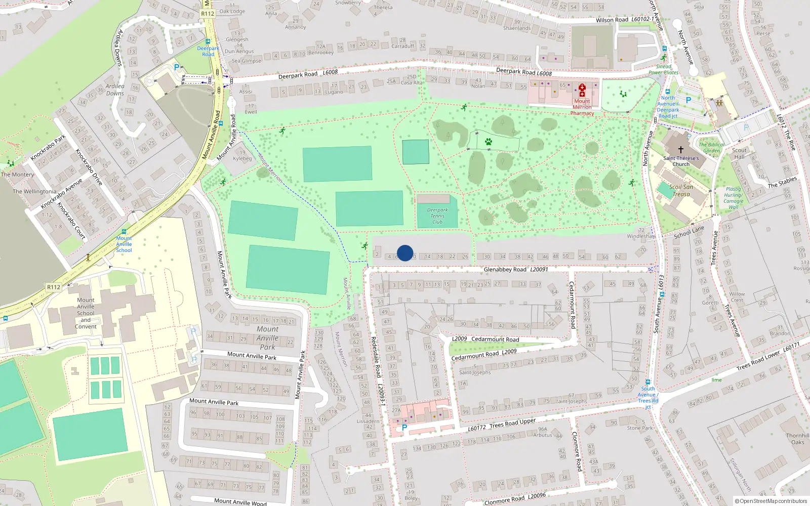 Overhead map showing the location of 10 Glenabbey Road, Blackrock