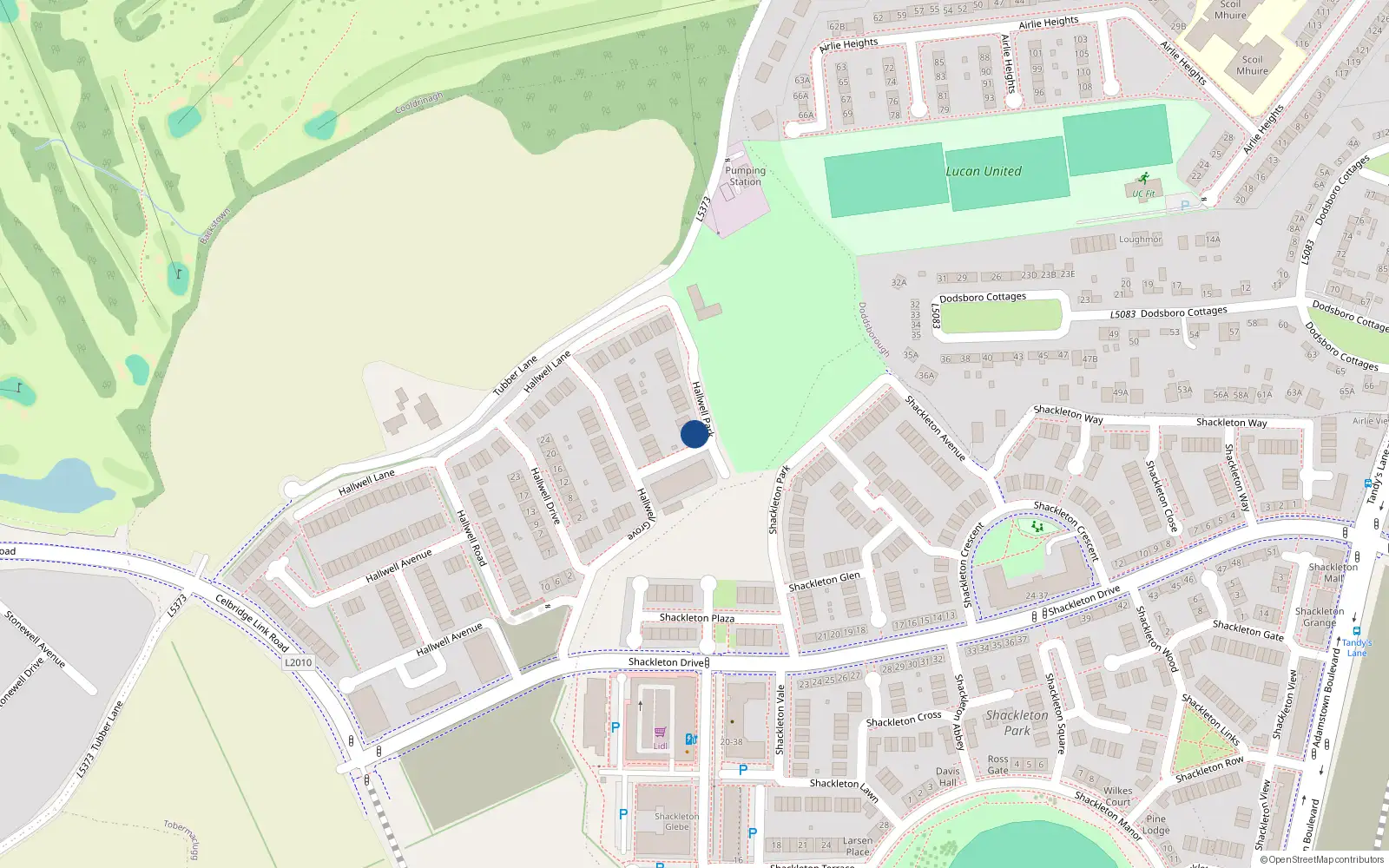Overhead map showing the location of 10 Hallwell Park, Lucan