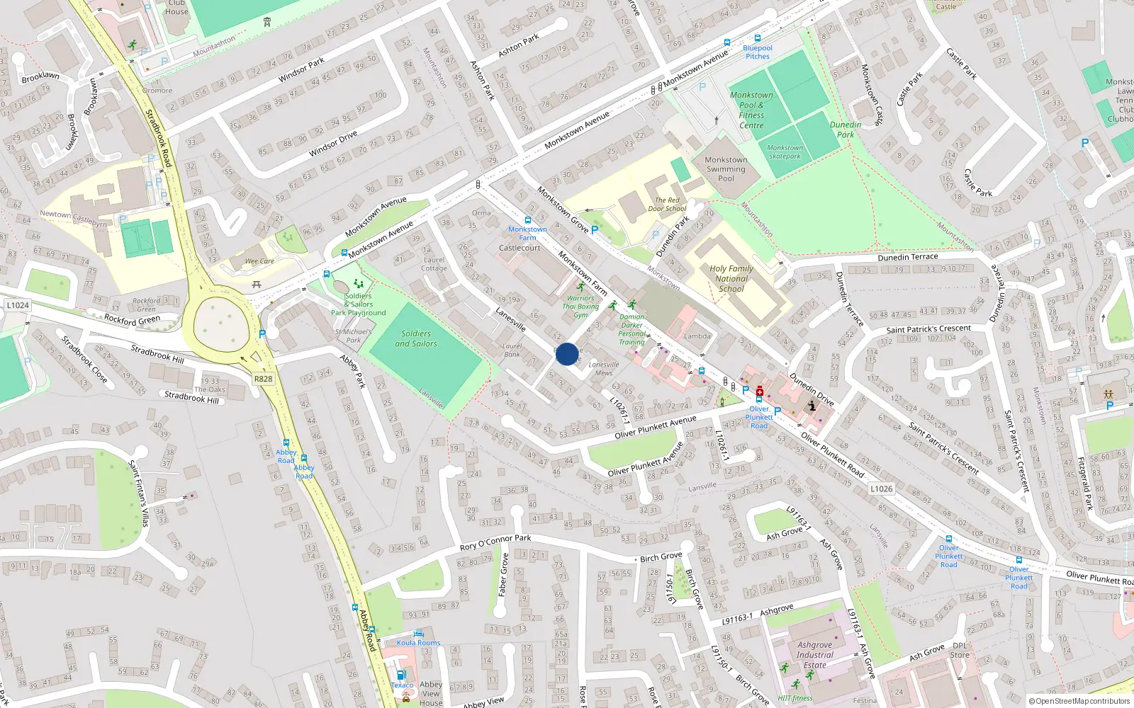 Overhead map showing the location of 10 Lanesville, Monkstown, Dublin