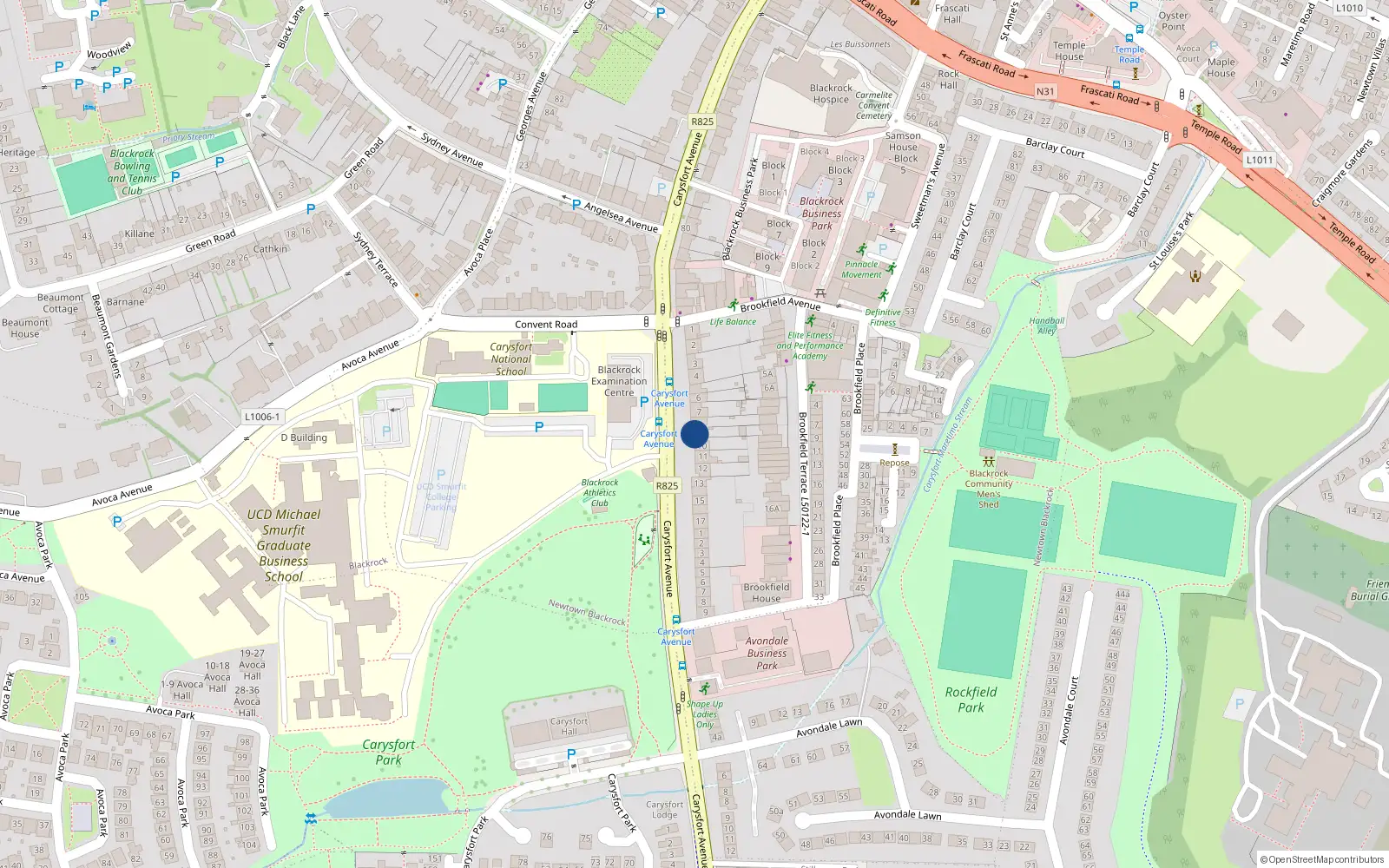 Overhead map showing the location of 10 Lower Prince Edward Terrace, Carysfort Avenue, Blackrock
