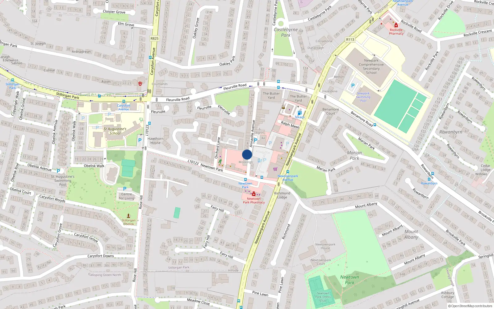 Overhead map showing the location of 10 Moore's Cottages, Annaville Avenue, Blackrock
