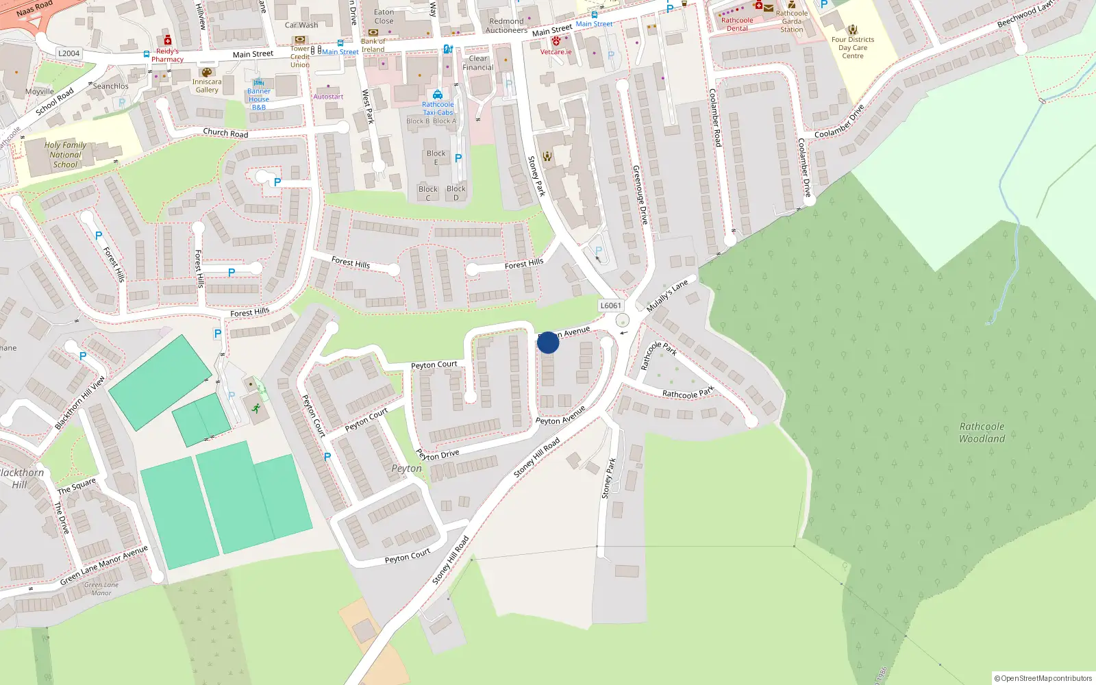 Overhead map showing the location of 10 Peyton Avenue, Rathcoole