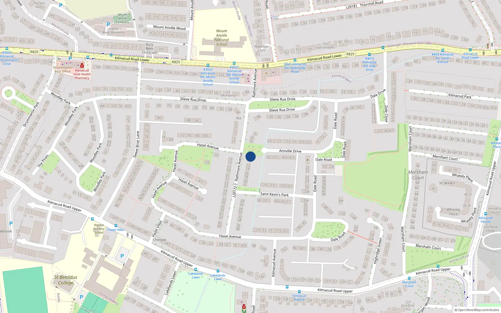 Overhead map showing the location of 10 Rathmore Avenue, Blackrock