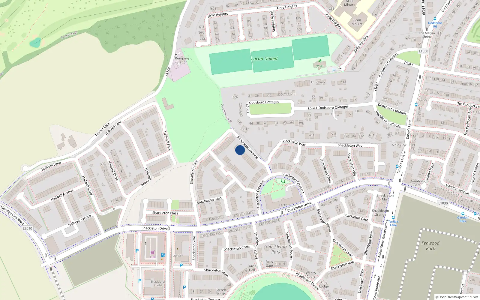 Overhead map showing the location of 10 Shackleton Avenue, Lucan