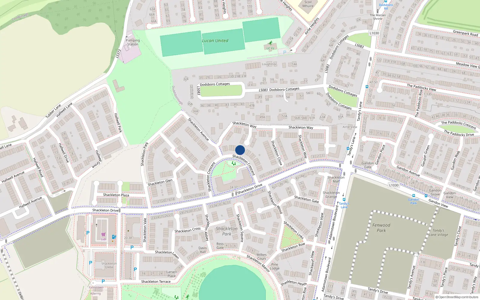 Overhead map showing the location of 10 Shackleton Crescent, Lucan