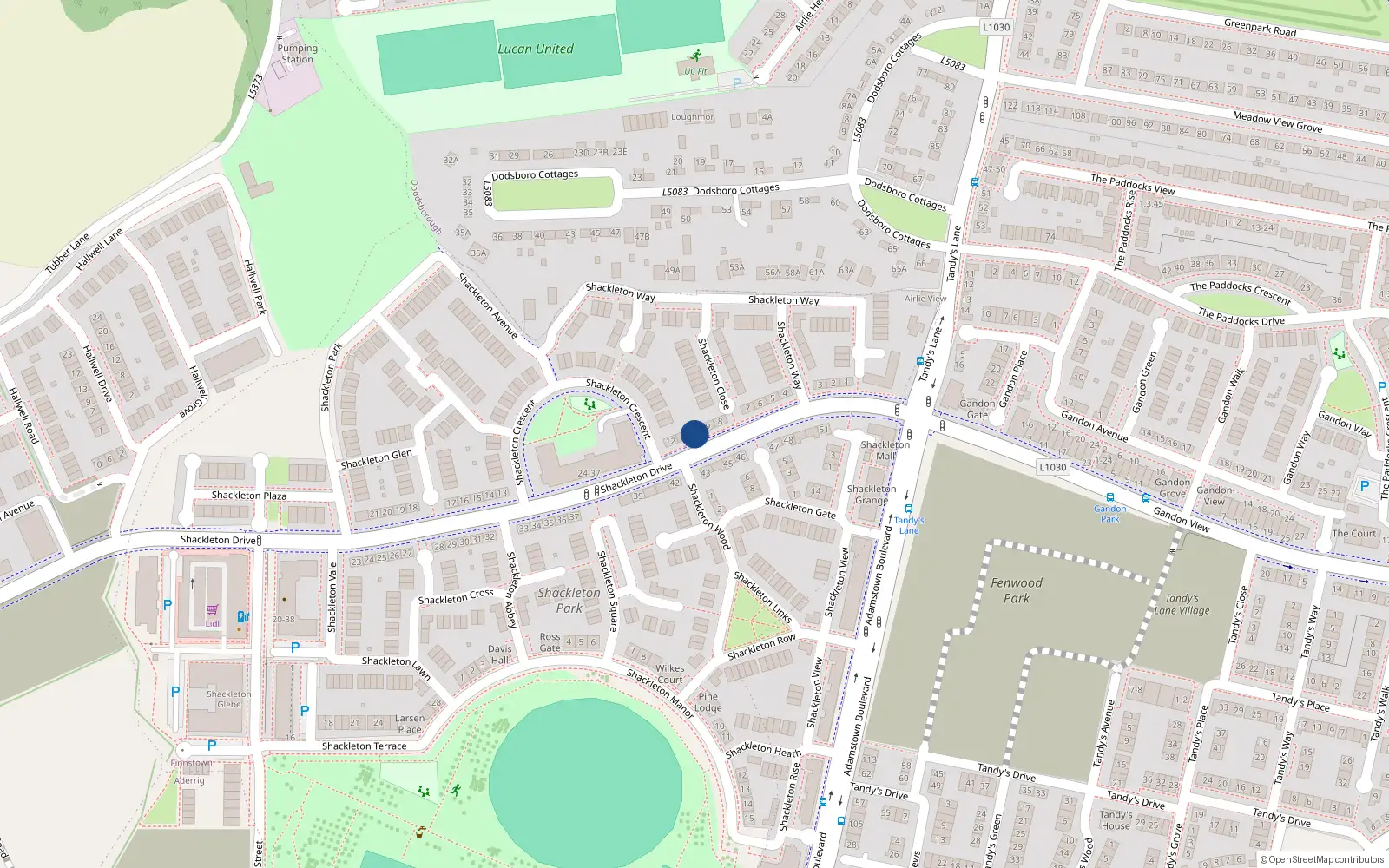 Overhead map showing the location of 10 Shackleton Drive, Shackleton Park, Lucan