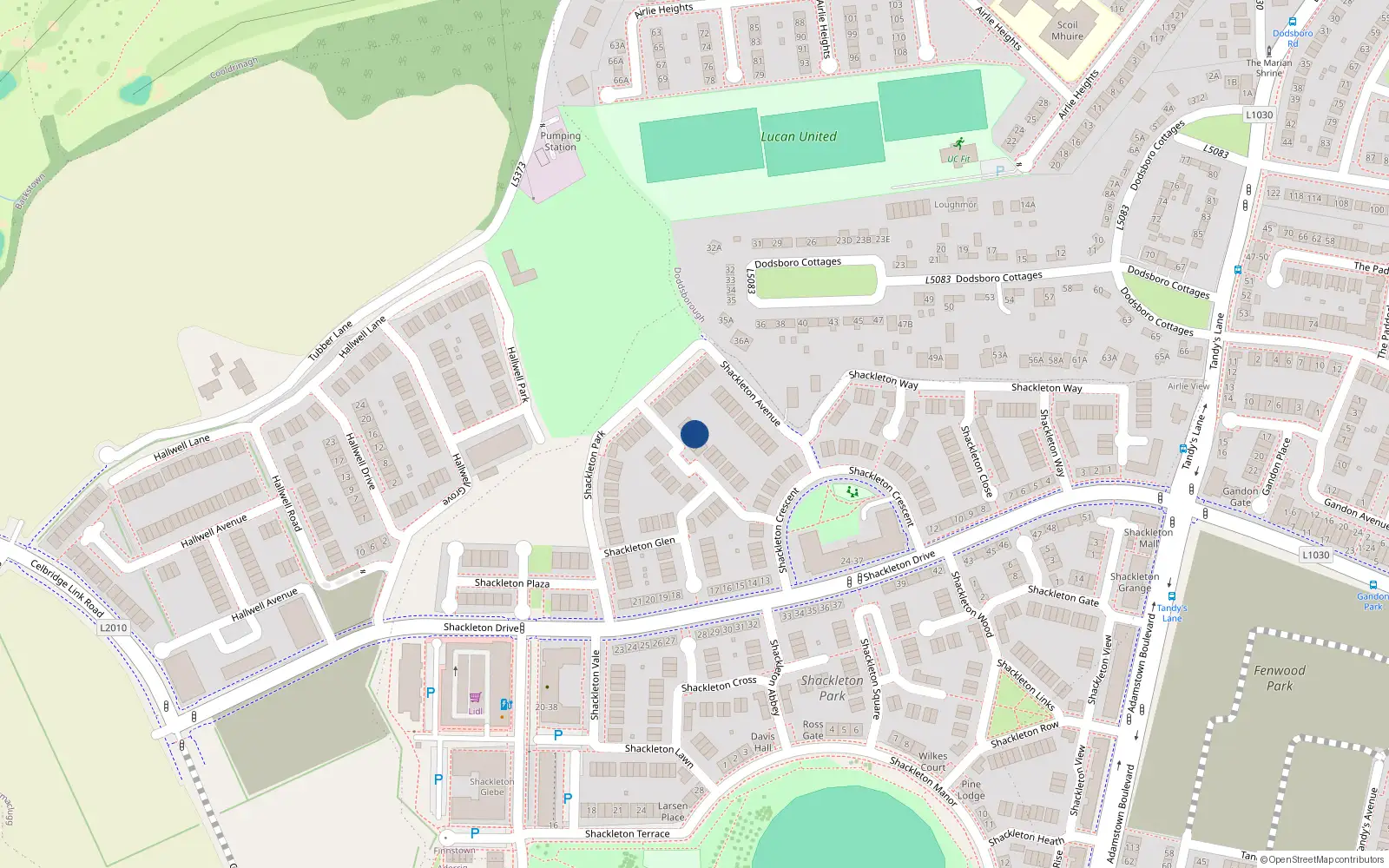 Overhead map showing the location of 10 Shackleton Grove, Lucan