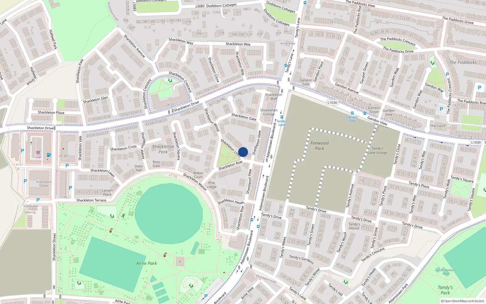 Overhead map showing the location of 10 Shackleton Links, Lucan