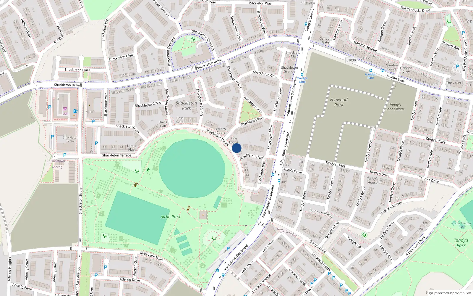 Overhead map showing the location of 10 Shackleton Manor, Shackleton Park, Lucan