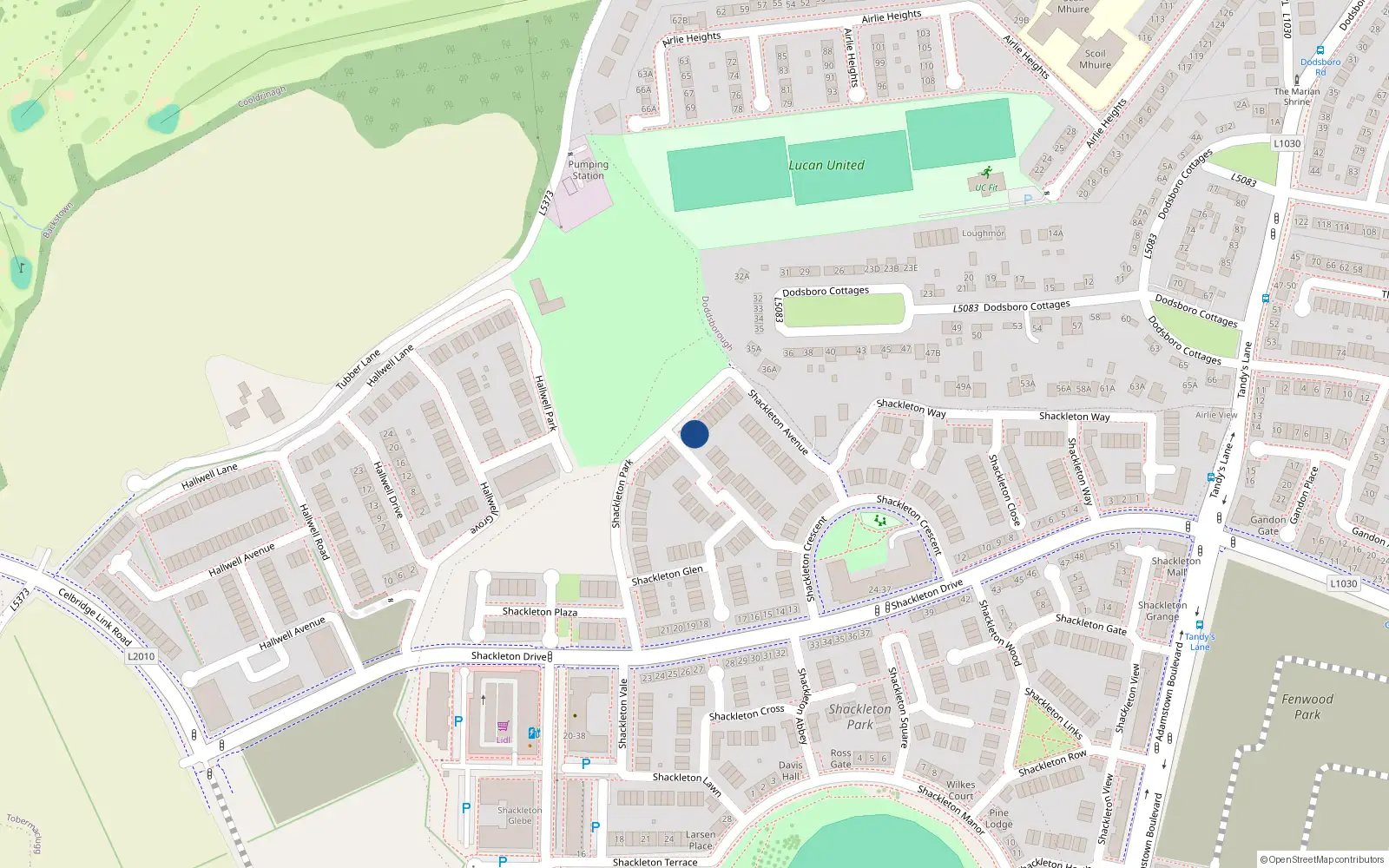 Overhead map showing the location of 10 Shackleton Park, Lucan