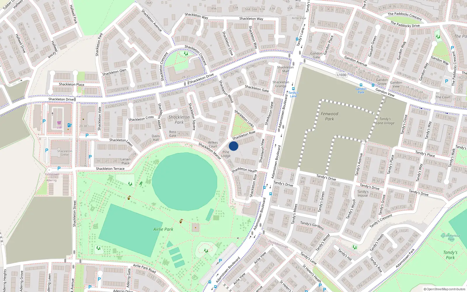 Overhead map showing the location of 10 Shackleton Row, Shackleton Park, Lucan