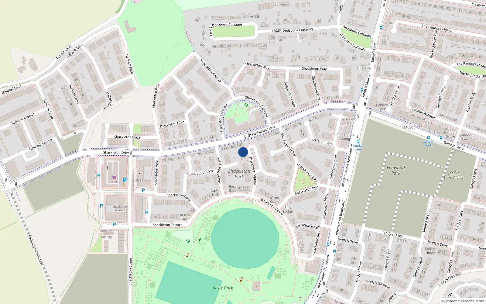 Overhead map showing the location of 10 Shackleton Square, Lucan
