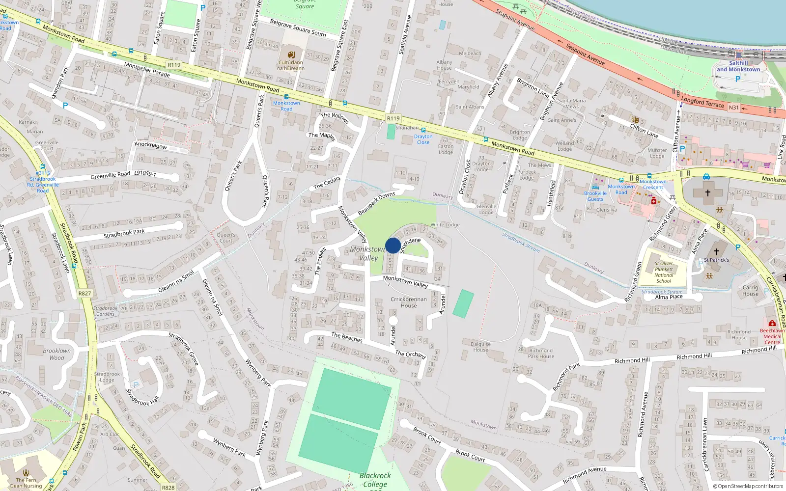 Overhead map showing the location of 10 Southdene, Monkstown