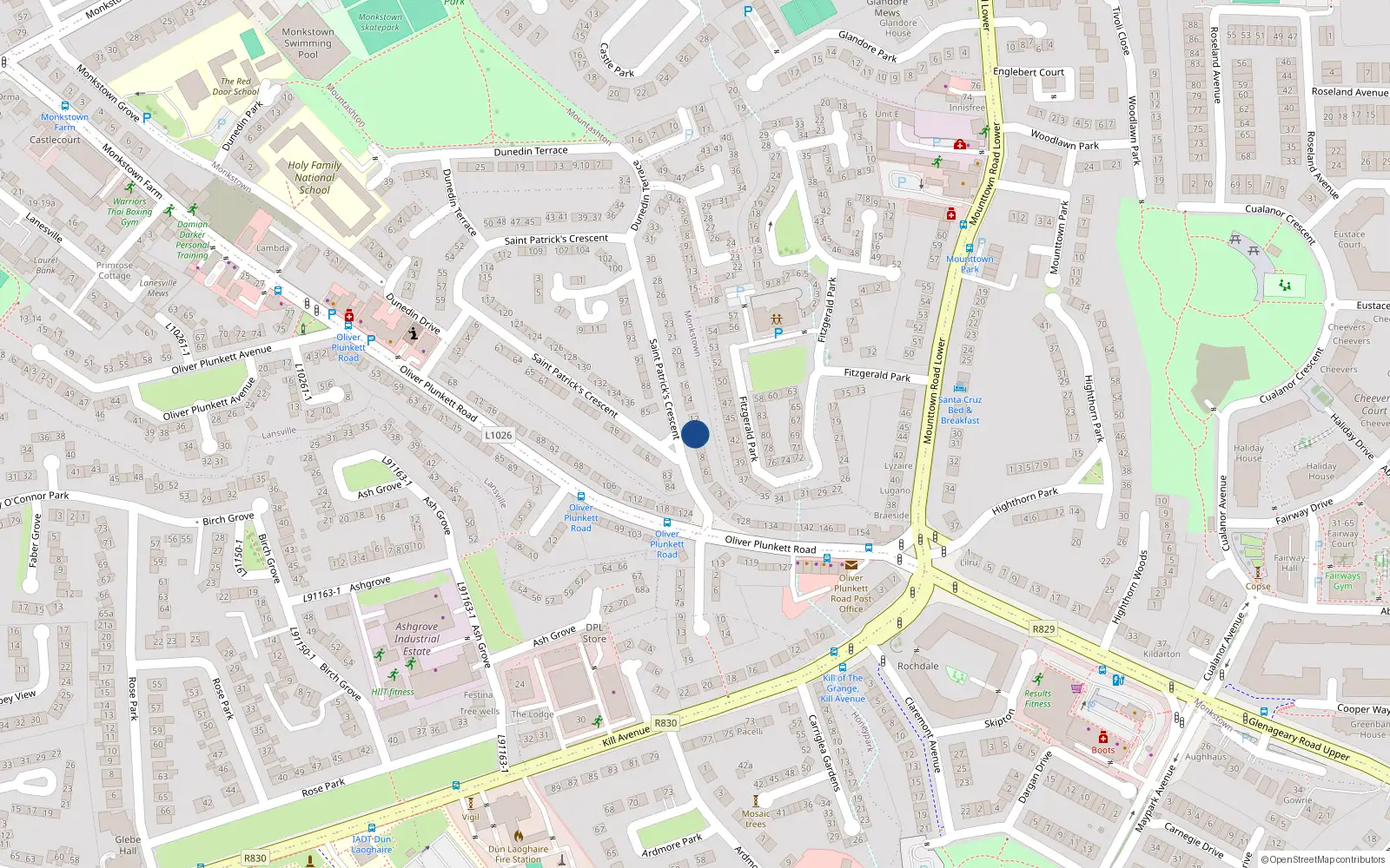 Overhead map showing the location of 10 Saint Patrick's Crescent, Dublin