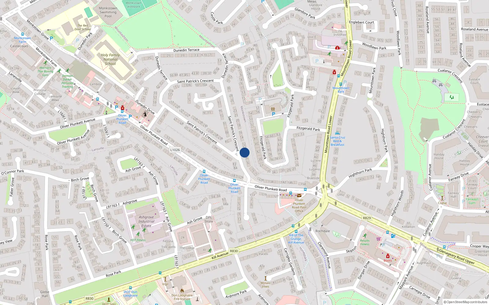 Overhead map showing the location of 10 St Patricks Crescent, Monkstown, Dublin